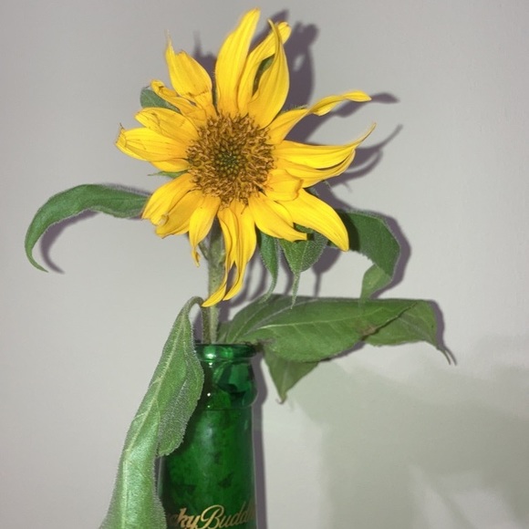 Meet your Posher, Kate - Picture 1 of 1